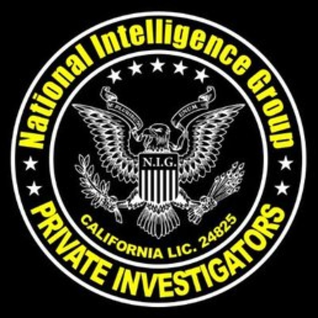 National Intelligence Group logo